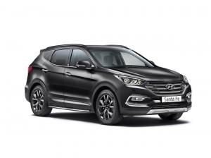 Hyundai Santa Fe Endurance 2017 года